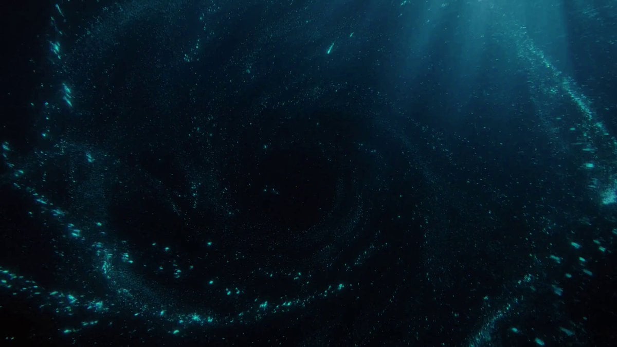 Glowing Ocean Particles Become a Whale