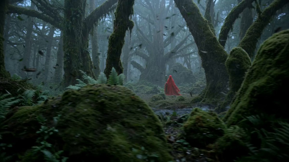 A Red Mage Rewinds a Forest Storm