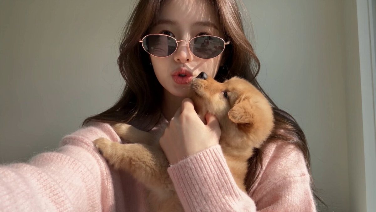 Puppy Steals Sunglasses in a Selfie